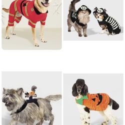 Pet Halloween Costume Bundle 