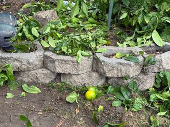 Pavers