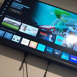 40 Inch Vizio Flatscreen Tv With Wallmount 