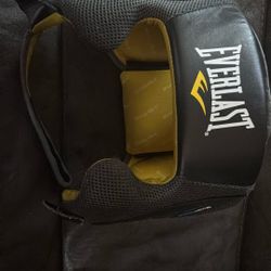 check Protector 