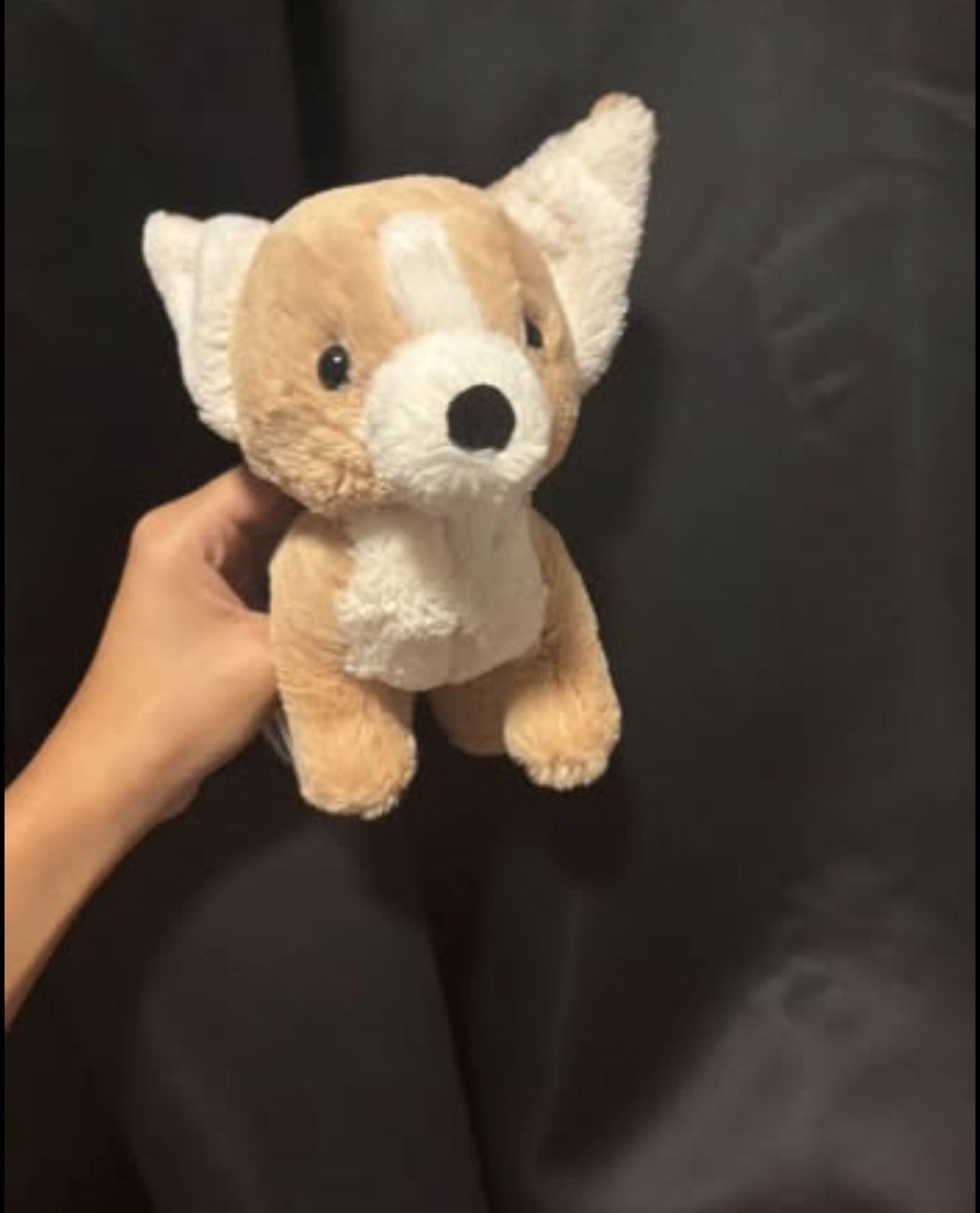 Chihuahua Jellycat