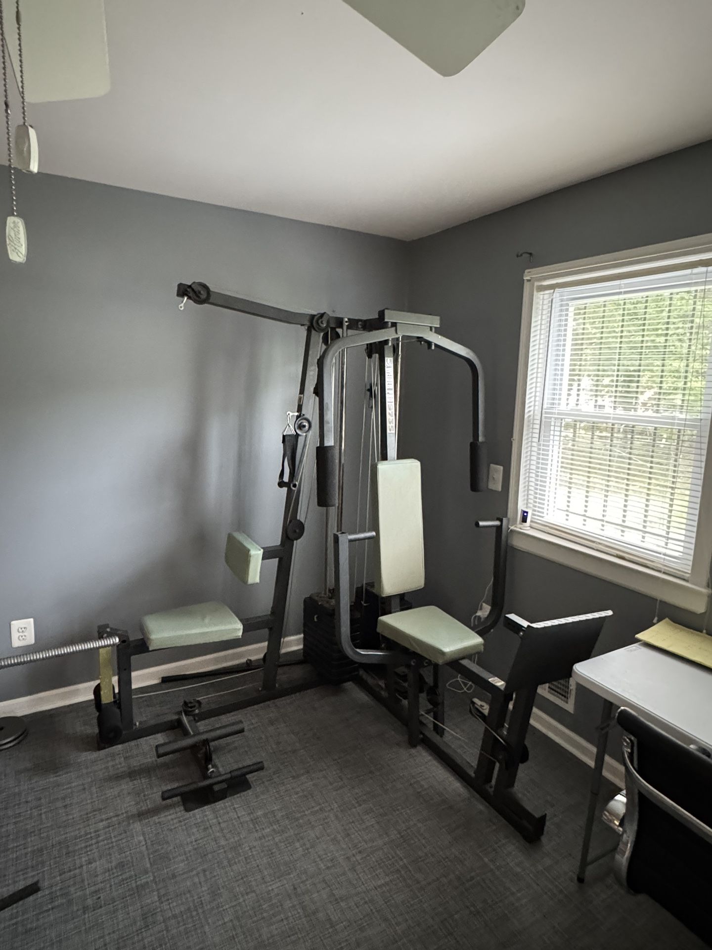 Gym Equipment