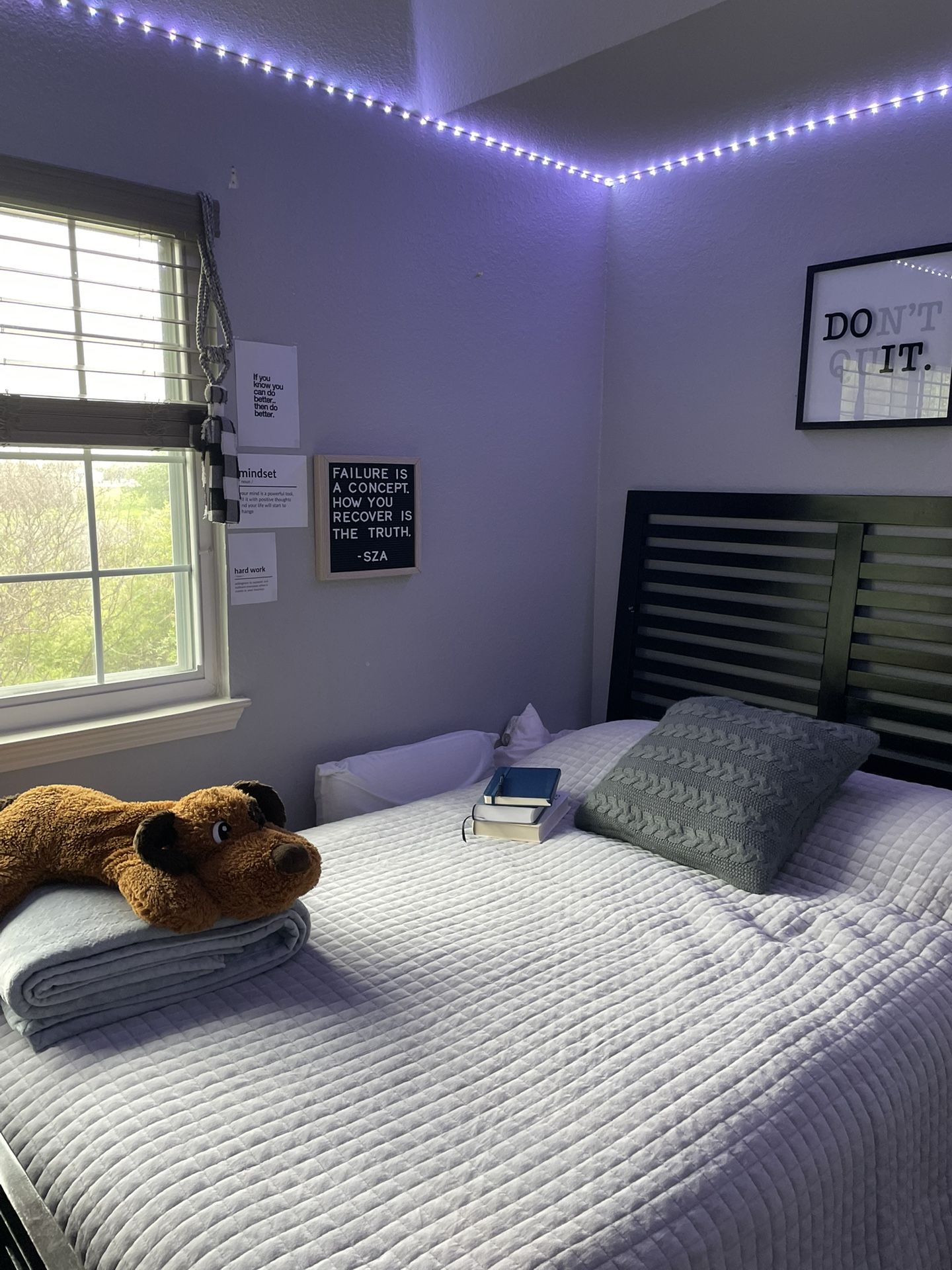 Full Black Frame Bed With Mattress 