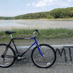 Fuji nevada sales for sale