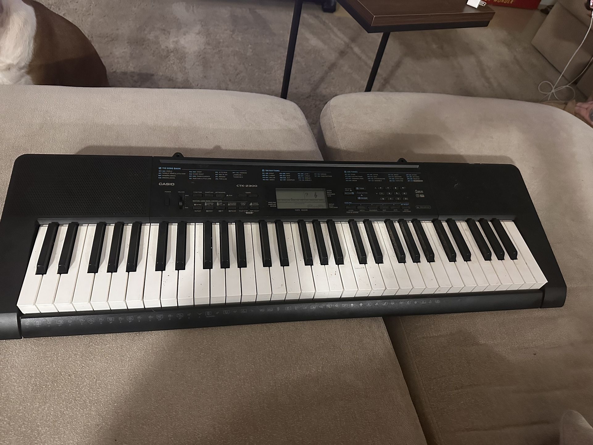 Casio Ctk 2300 $50 