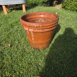 Beautiful terracotta pot!