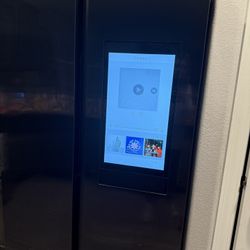 Black Stainless Fridge 
