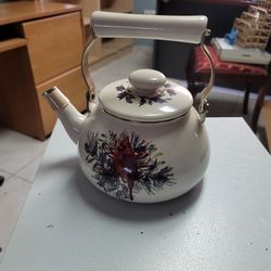 Beautiful Tea Kettle