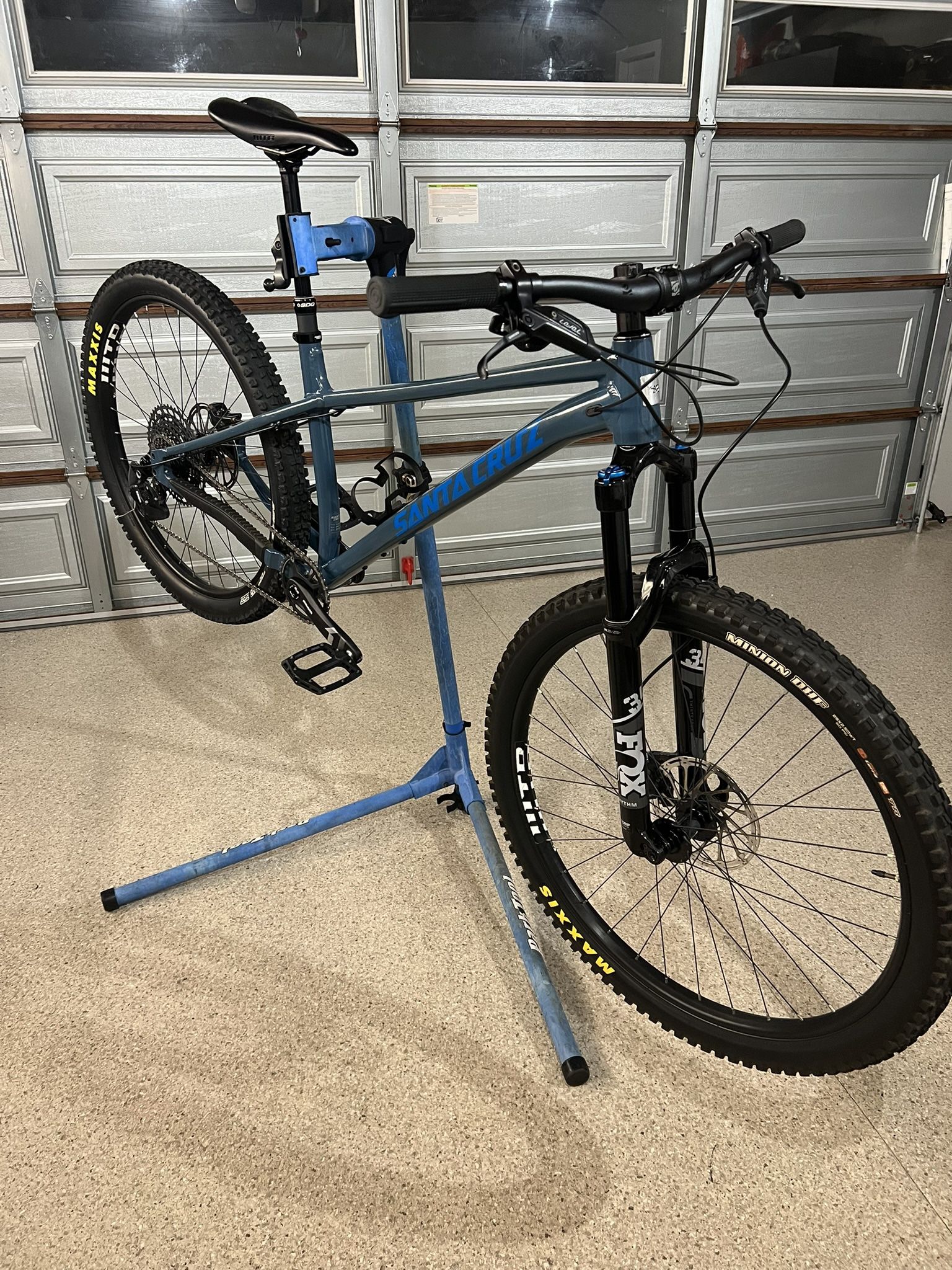 Santa Cruz Chameleon