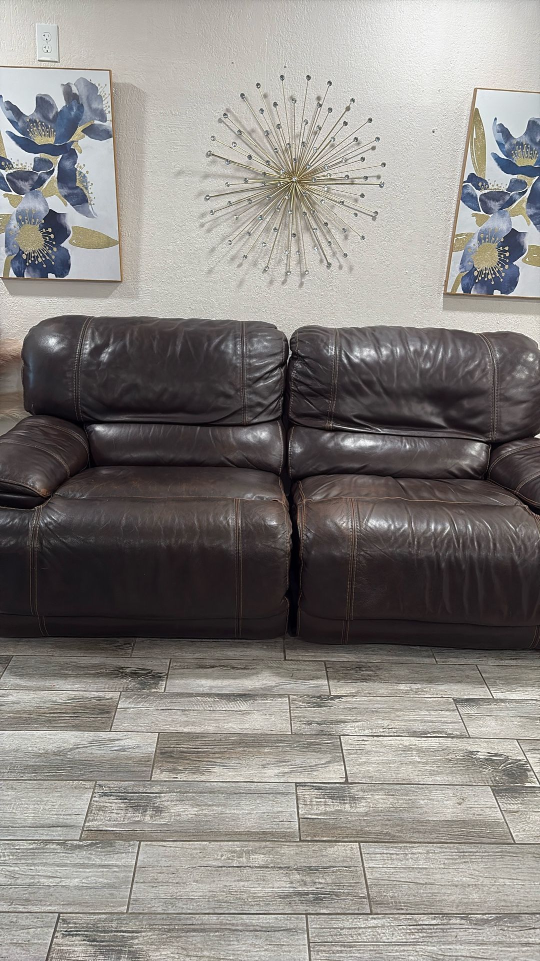 Brown Leather Couches