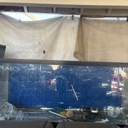 110 Gallon Fish Tank 