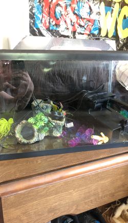 Glo-fish tank set up. NEW