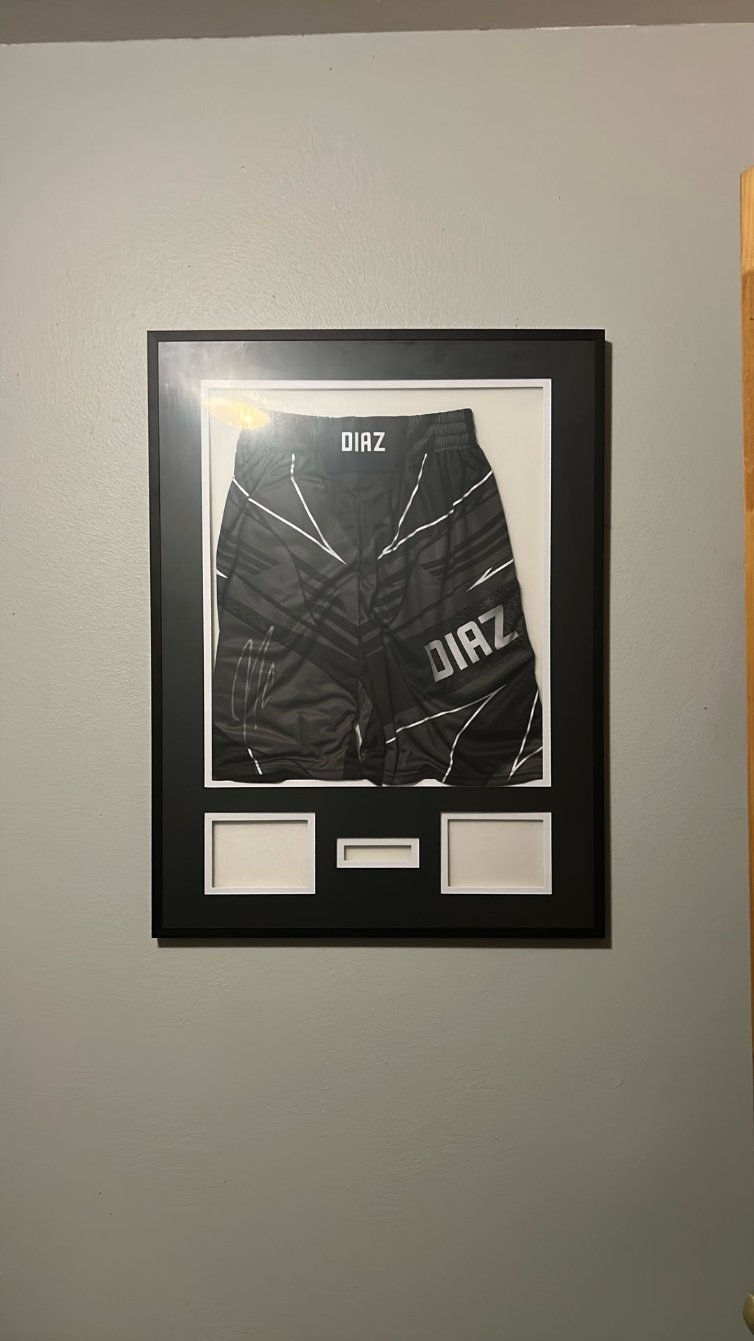 Signed/framed Nick Diaz Shorts