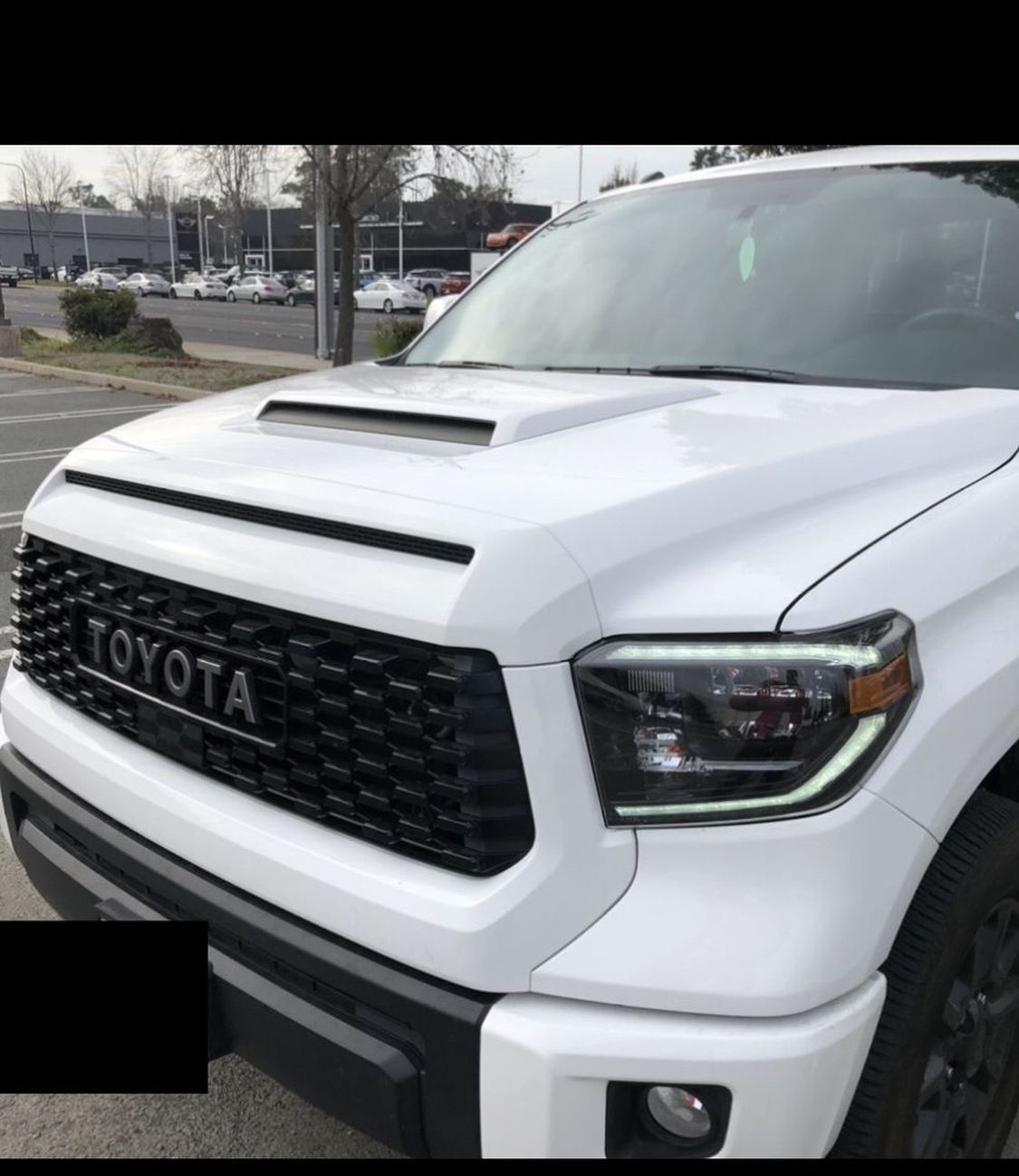 2019 OEM TRDPRO Grille.