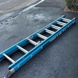 Warner 16 Foot Ladder