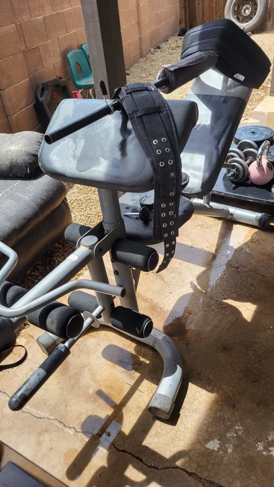 Weight Bench and More