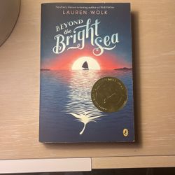 Book: Beyond The Bright Sea
