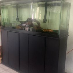 100 gallon fish tank