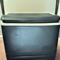 Igloo Cooler 