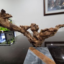 Large Aquarium Fish Reptile Driftwood