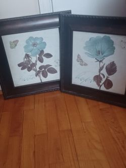 Pair Turquoise And Brown Pictures