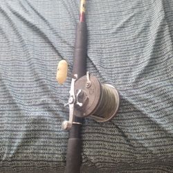 Penn Senator Fishing Rod and Reel. 