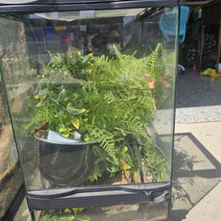 Zoo Med Glass Terrarium Small