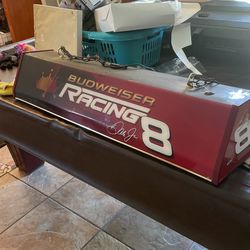 Budweiser Racing Dale Jr Light 