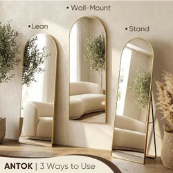 Antok Arched Full-Length Floor Mirror Gold