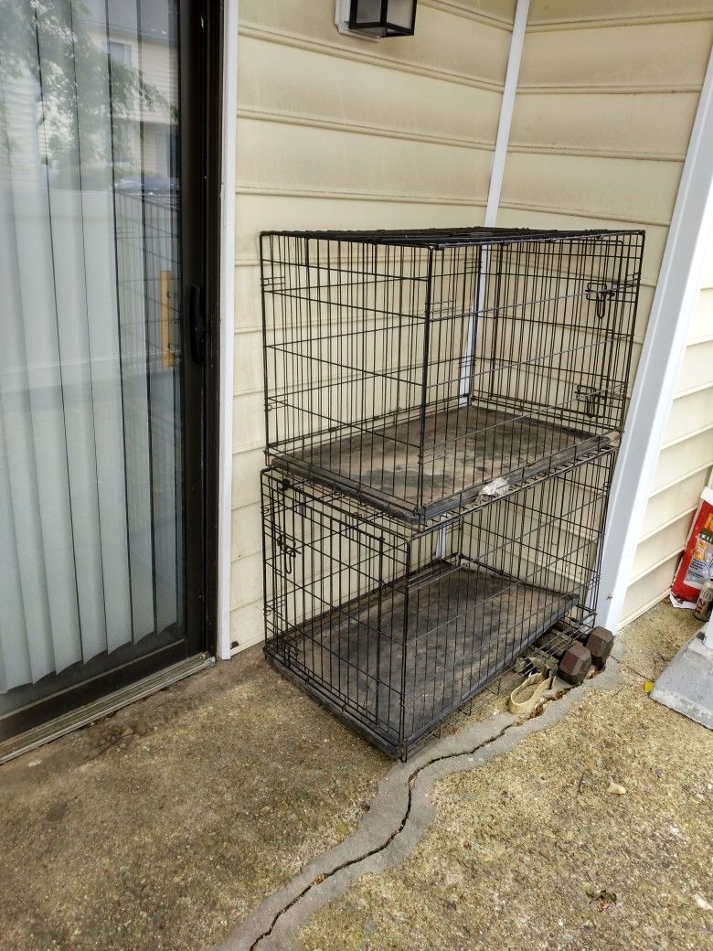 Two Dog Cages