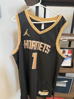 Charlotte Hornets #1 Jordan NBA Select Series Jersey