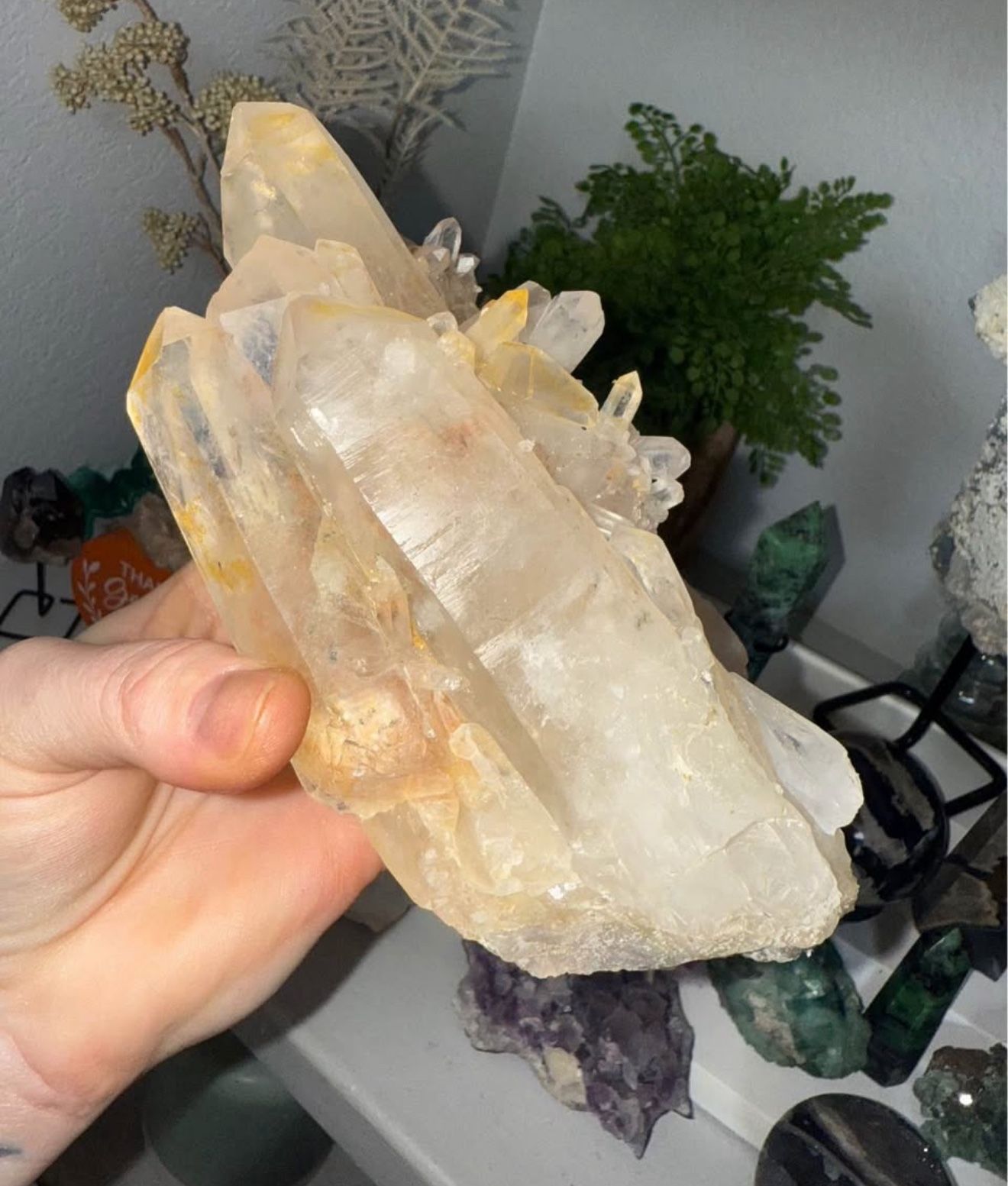 Clear Quartz Crystal Cluster ✨ Golden Iron Inclusions