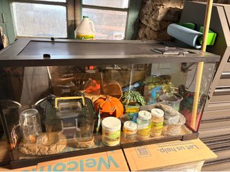 Reptile terrarium