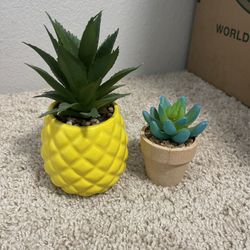 Faux Succulent Decor