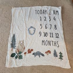 Baby Monthly Photo Blanket