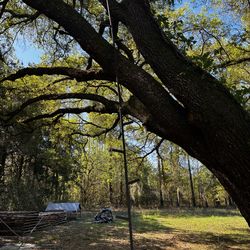 20ft deef stand ladder