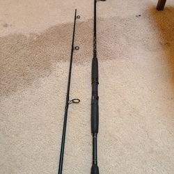 Penn Pursuit 2 Fishing Pole