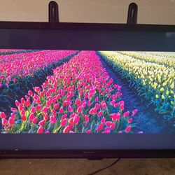 55” Tv and Ceiling Mount (Tilts & Swivels) with Sound Bar Brackets Attachment  - Could be Great in your Garage or Out on your Patio