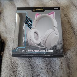 New Kitty Headphones