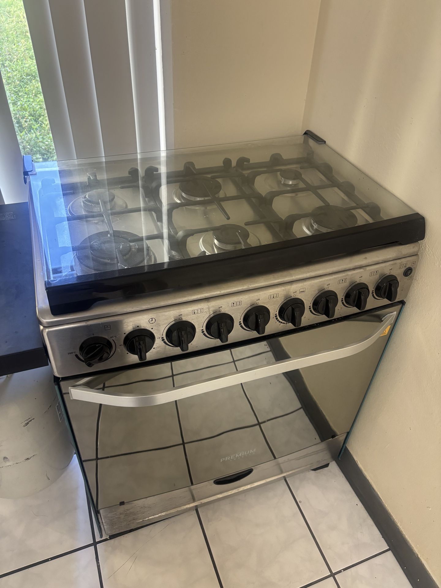 Gas stove and oven