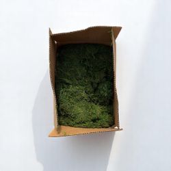 10lb Box Of Super Moss