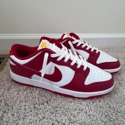 Size 11 Red Nike Sb Dunks 