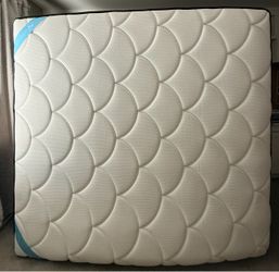 Free mattress