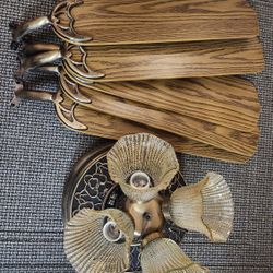 Ceiling Fan And Light