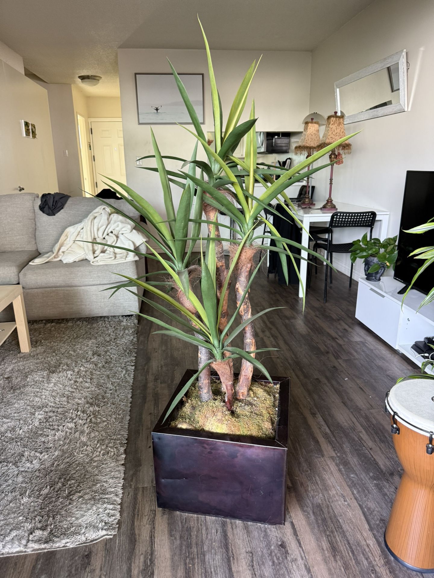 Yucca Faux plant - Yucca fake plant