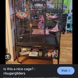 Cage For Sugar Gliders   Used