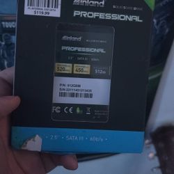 inland professional solid State Drive