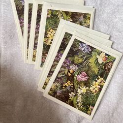 Blank Greeting Cards With Envelopes Hawaiian Reflections Gallery Set Of 11