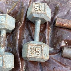 35 Lb Dumbbell 