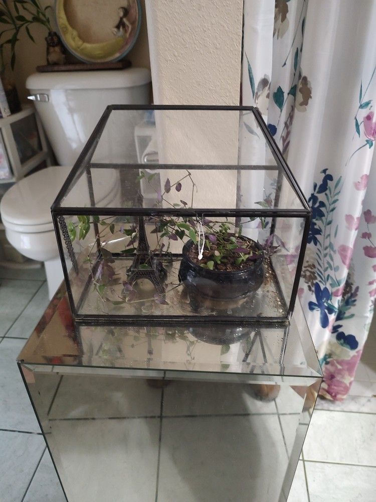 Mini Glass Greenhouse No Shipping Available 